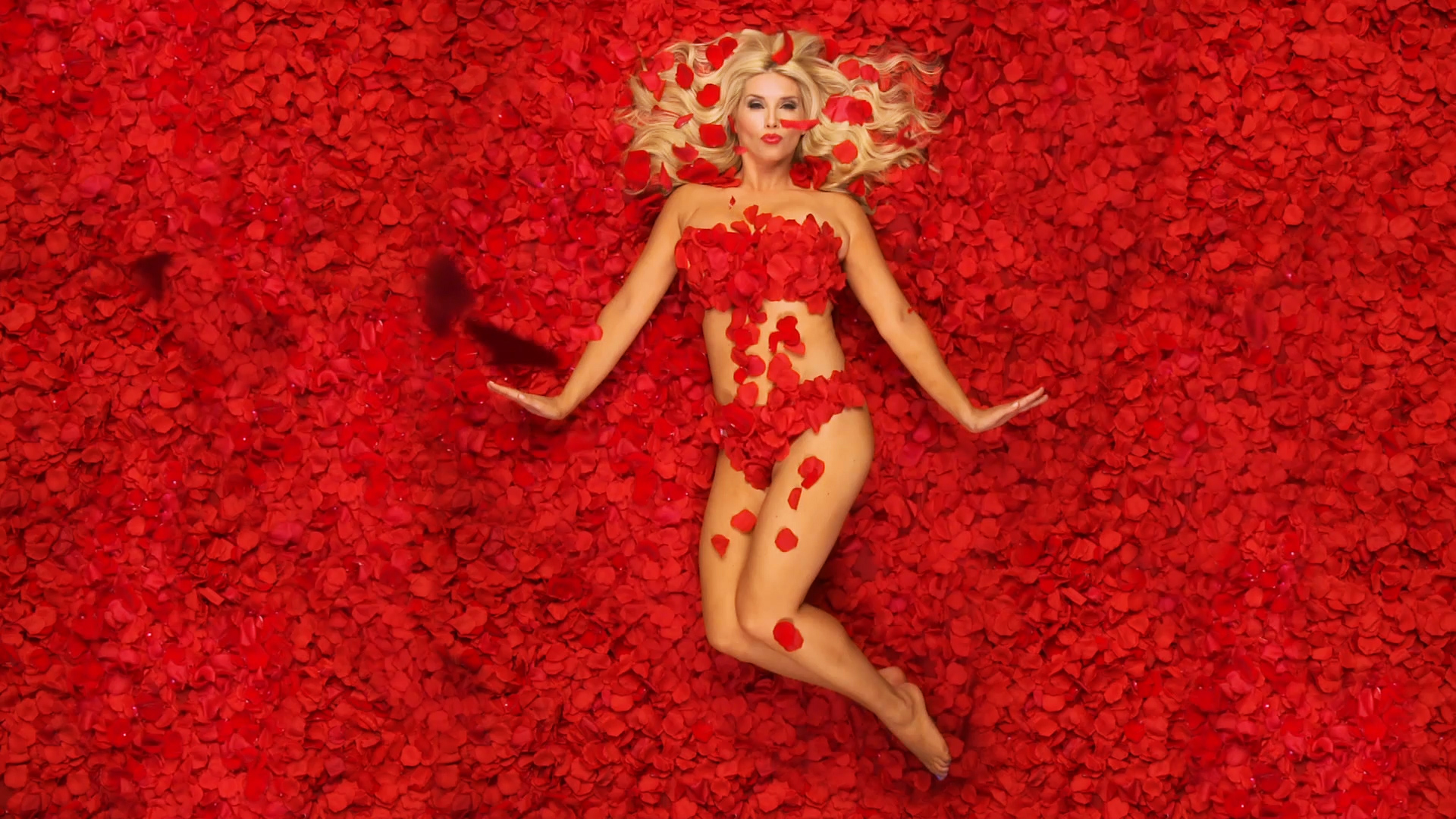 HQ American Beauty Wallpapers | File 1207.5Kb