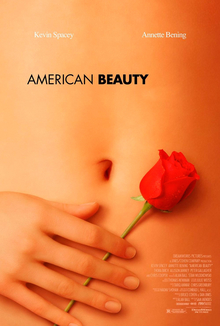American Beauty #13