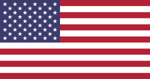 American Flag #12