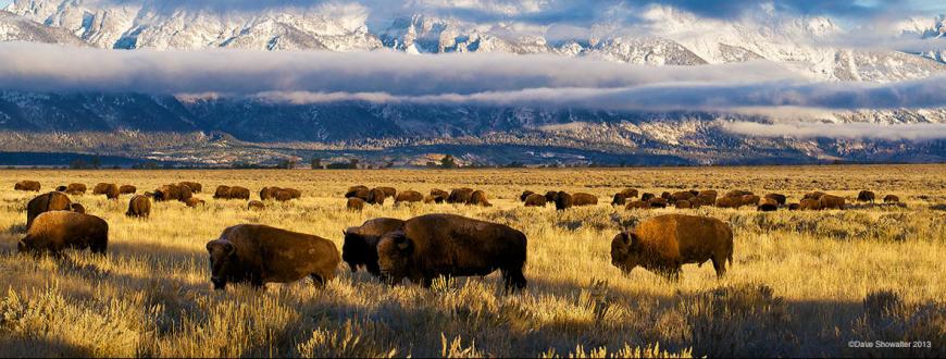 Nice Images Collection: American West Desktop Wallpapers