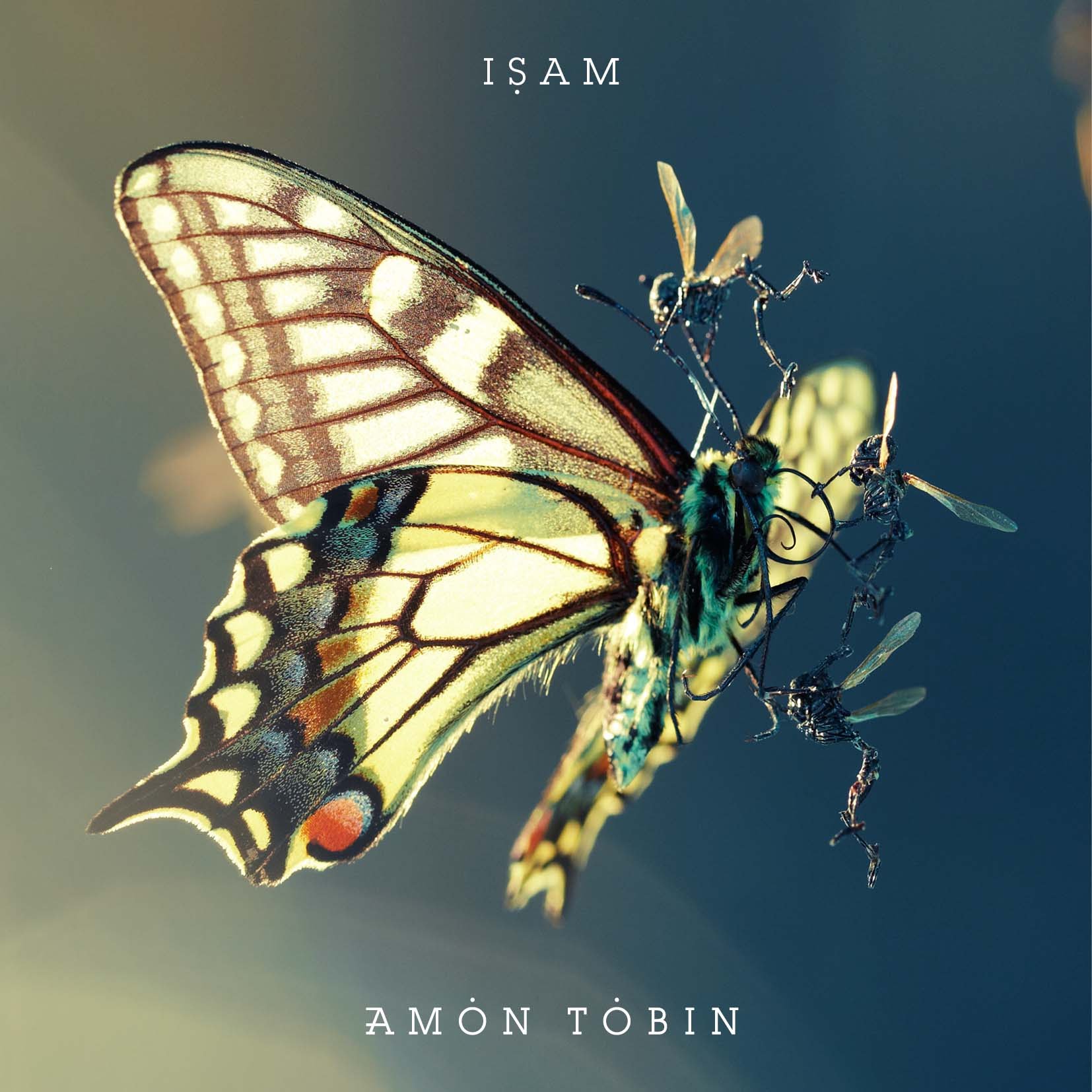 Amon Tobin #1