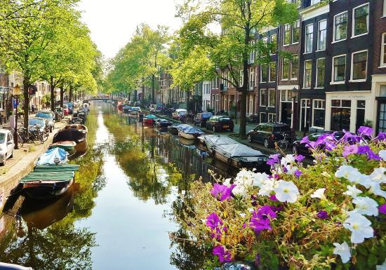 Nice wallpapers Amsterdam 550x385px