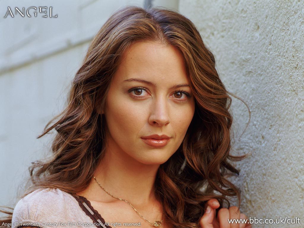 HD Quality Wallpaper | Collection: Celebrity, 1024x768 Amy Acker