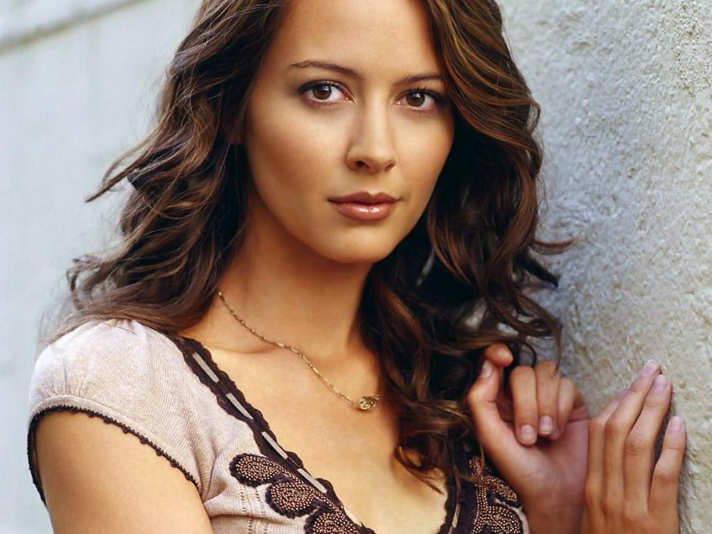 1024x768 > Amy Acker Wallpapers