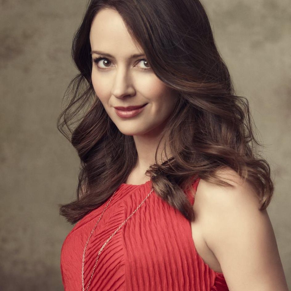 Amy Acker High Quality Background on Wallpapers Vista