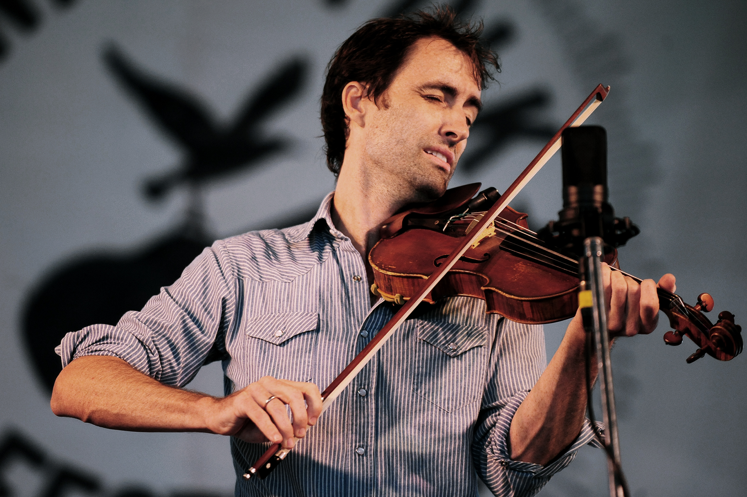 HD Quality Wallpaper | Collection: Music, 2400x1598 Andrew Bird