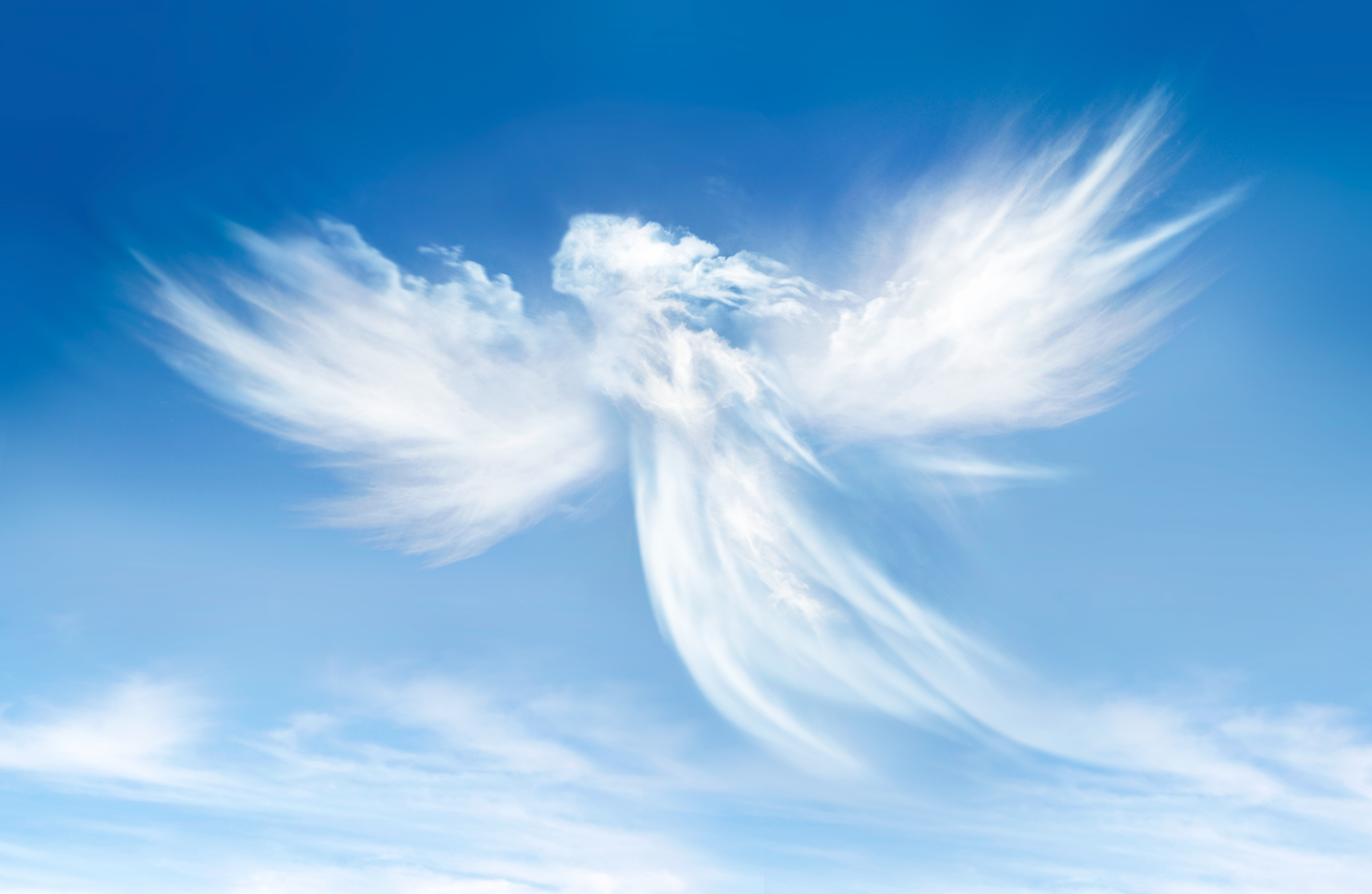 Angel High Quality Background on Wallpapers Vista