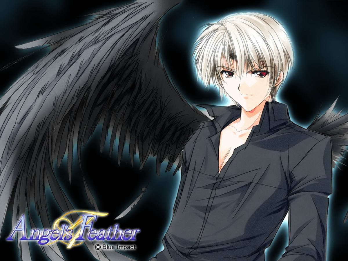 HD Quality Wallpaper | Collection: Anime, 1200x900 Angel's Feather