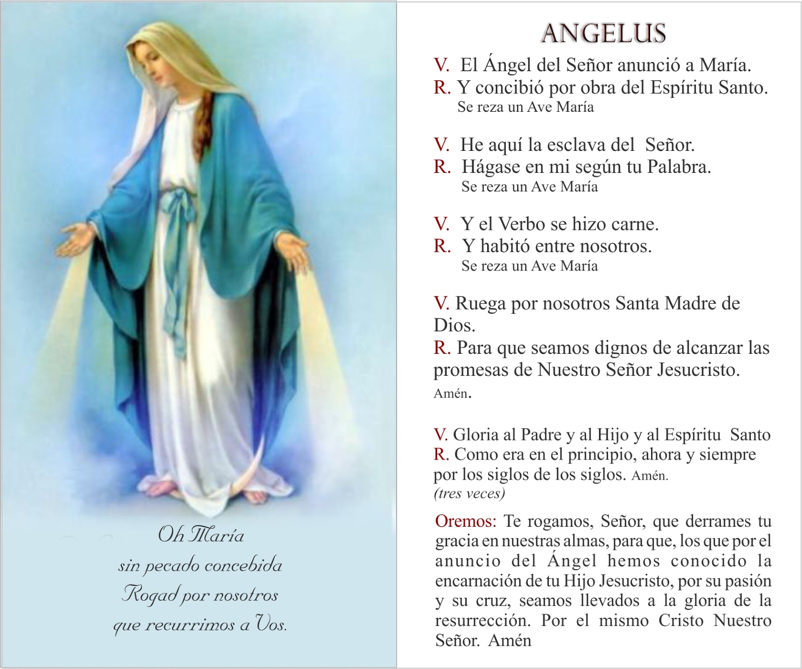 Images of Angelus | 1600x1335