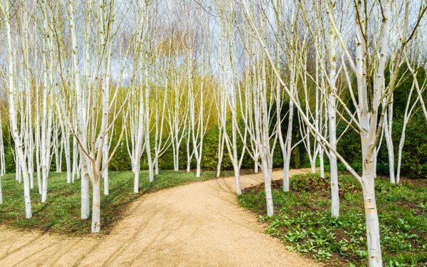 High Resolution Wallpaper | Anglesey Abbey 600x375 px