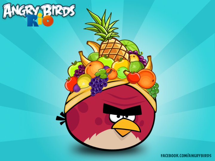 HD Quality Wallpaper | Collection: Video Game, 720x540 Angry Birds Rio