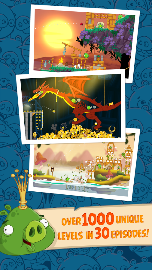 Nice wallpapers Angry Birds: Seasons 506x900px
