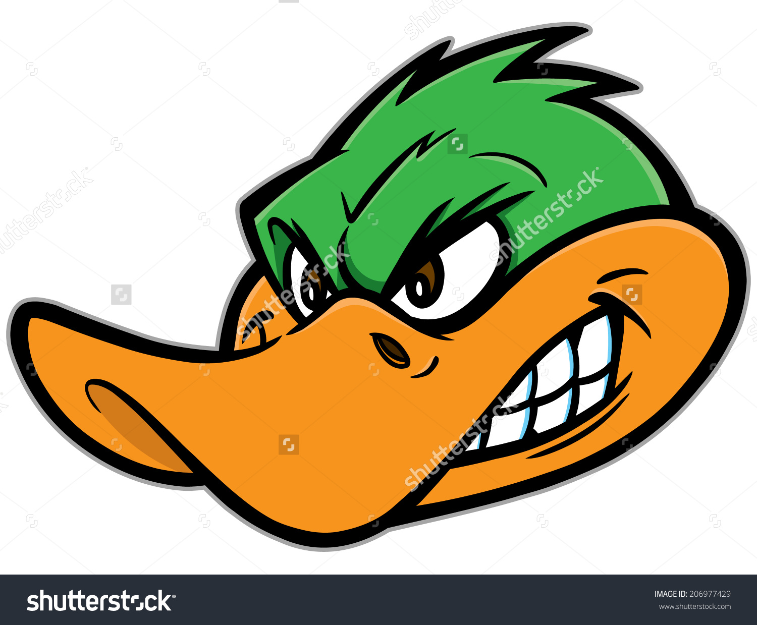 Nice Images Collection: Angry Duck Desktop Wallpapers