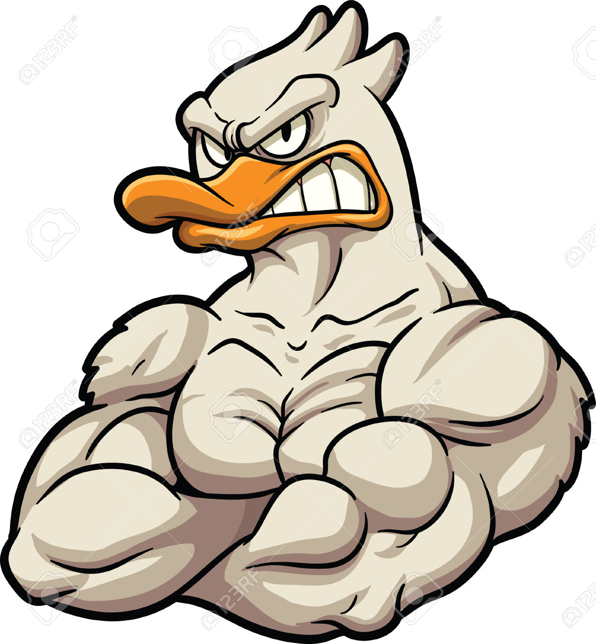 Angry Duck Backgrounds, Compatible - PC, Mobile, Gadgets| 1203x1300 px