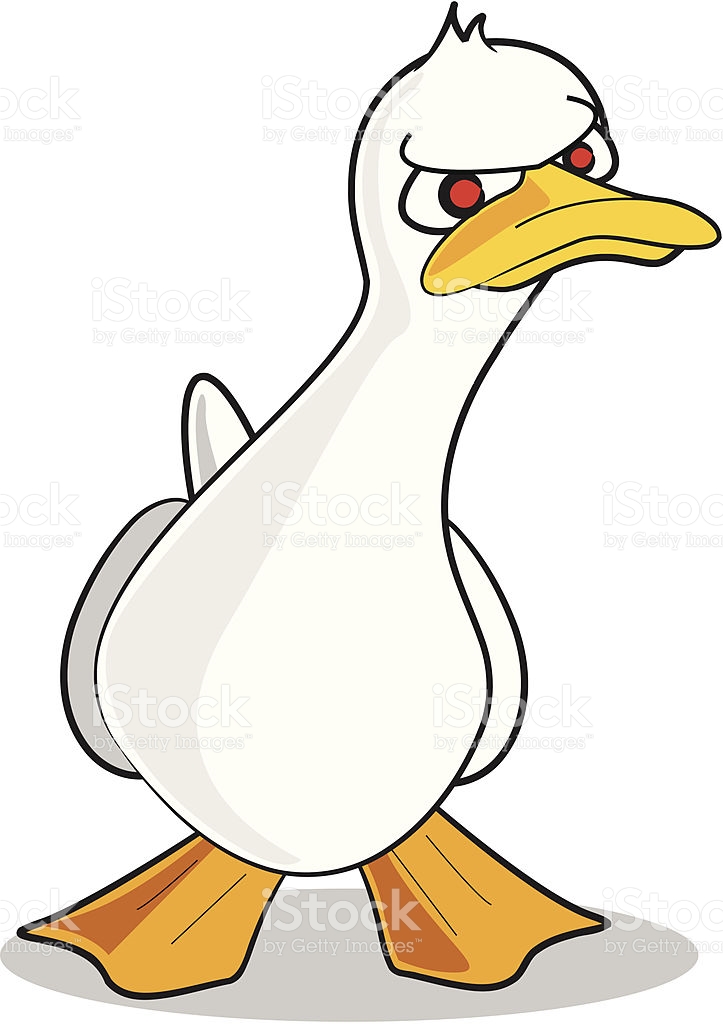 Angry Duck Pics, Cartoon Collection