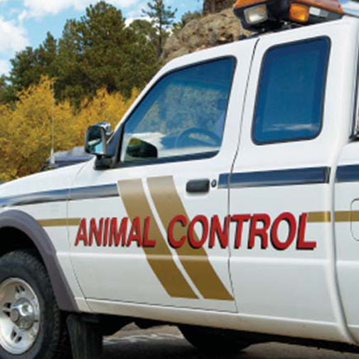 Animal Control #14
