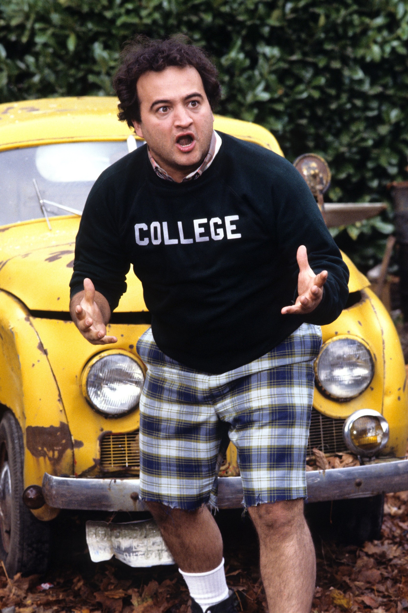 Animal House Pics, Movie Collection