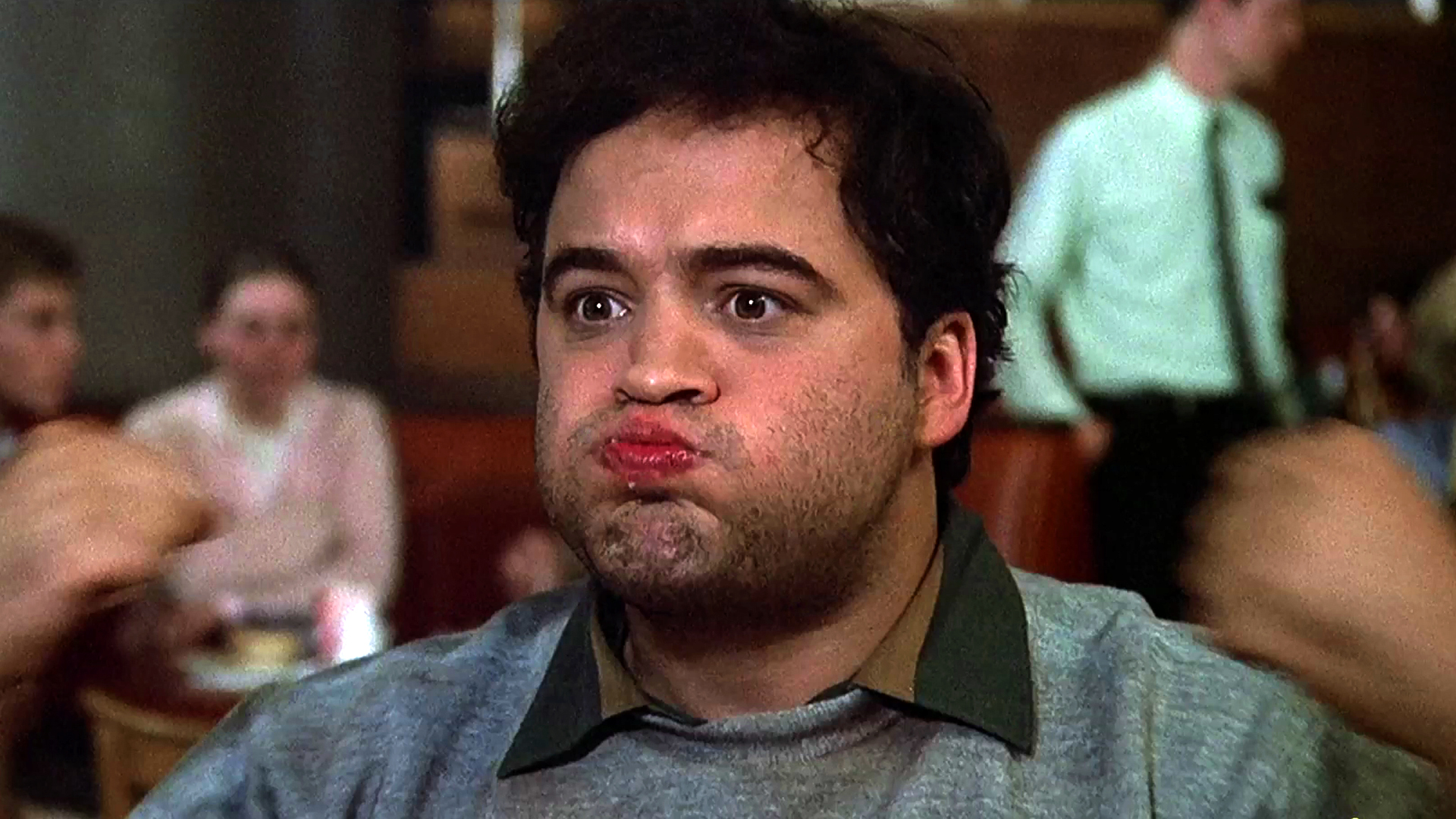 Animal House wallpapers, Movie, HQ Animal House pictures 4K