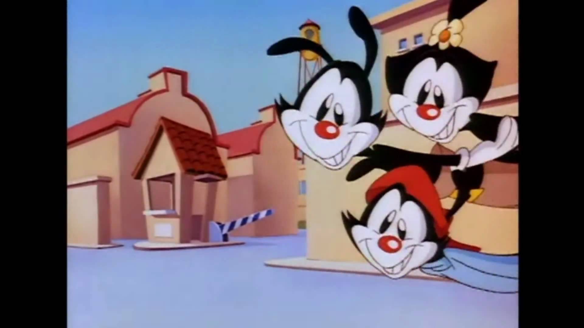 Nice Images Collection: Animaniacs Desktop Wallpapers