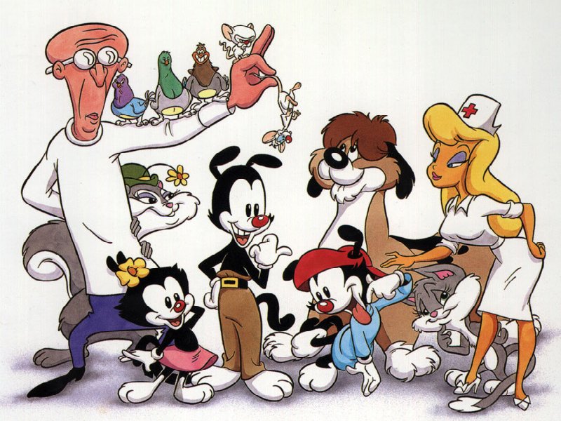 Animaniacs High Quality Background on Wallpapers Vista