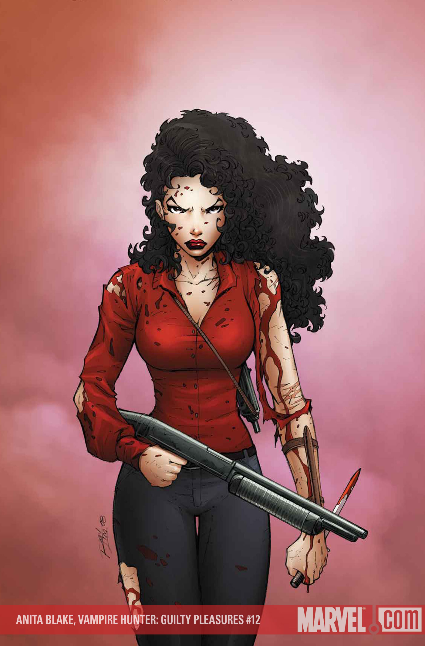 Images of Anita Blake: Vampire Hunter | 1401x2128
