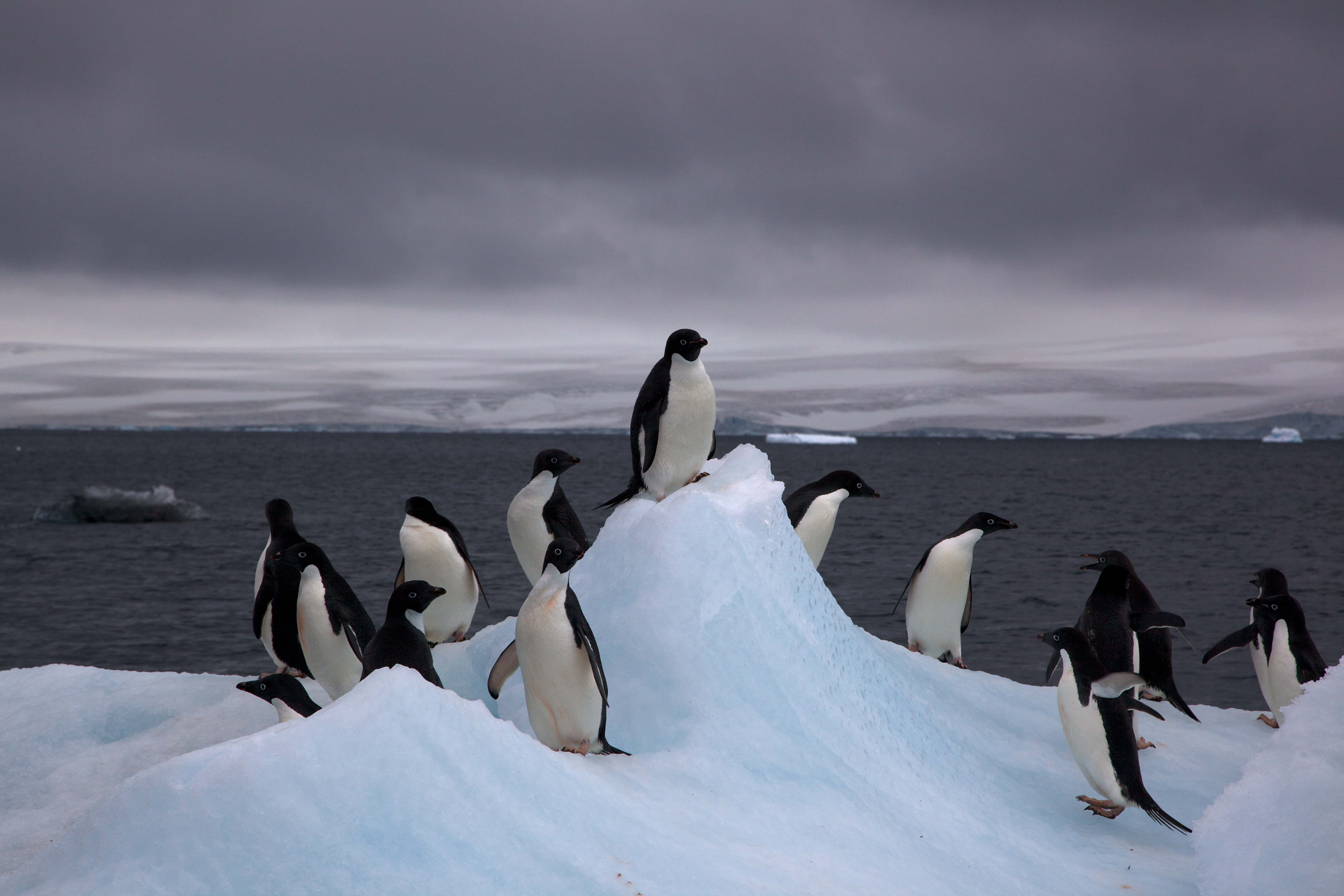 Images of Antarctica | 5616x3744