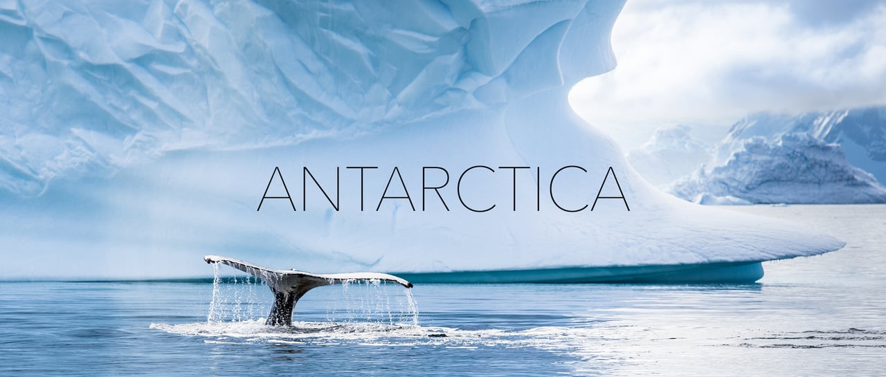 HD Quality Wallpaper | Collection: Earth, 1280x545 Antarctica