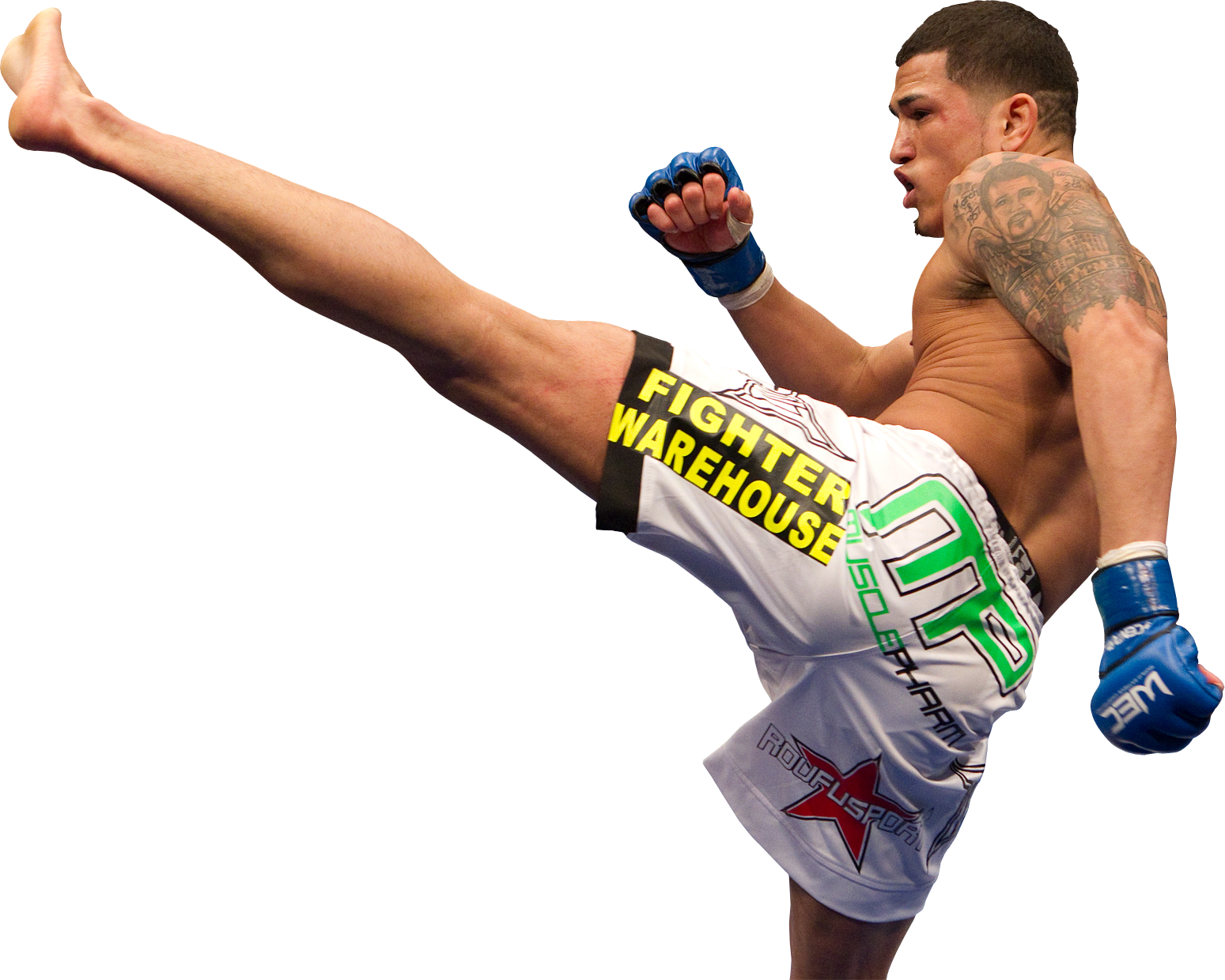 High Resolution Wallpaper | Anthony Pettis 1549x1240 px
