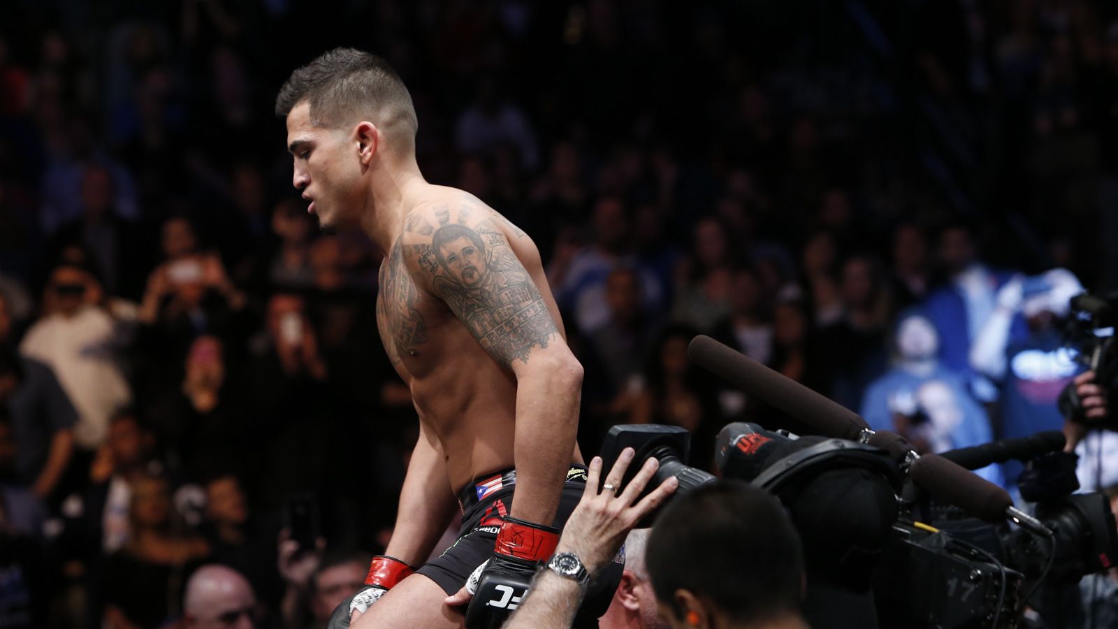 High Resolution Wallpaper | Anthony Pettis 1600x900 px