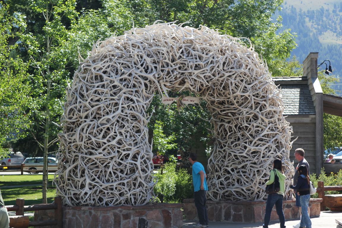 1152x768 > Antler Arch Wallpapers