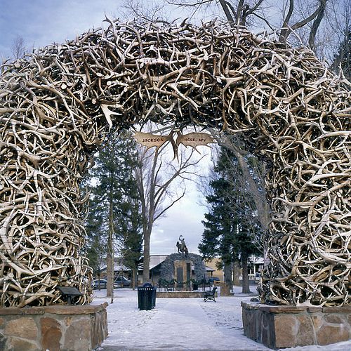 Nice wallpapers Antler Arch 500x500px