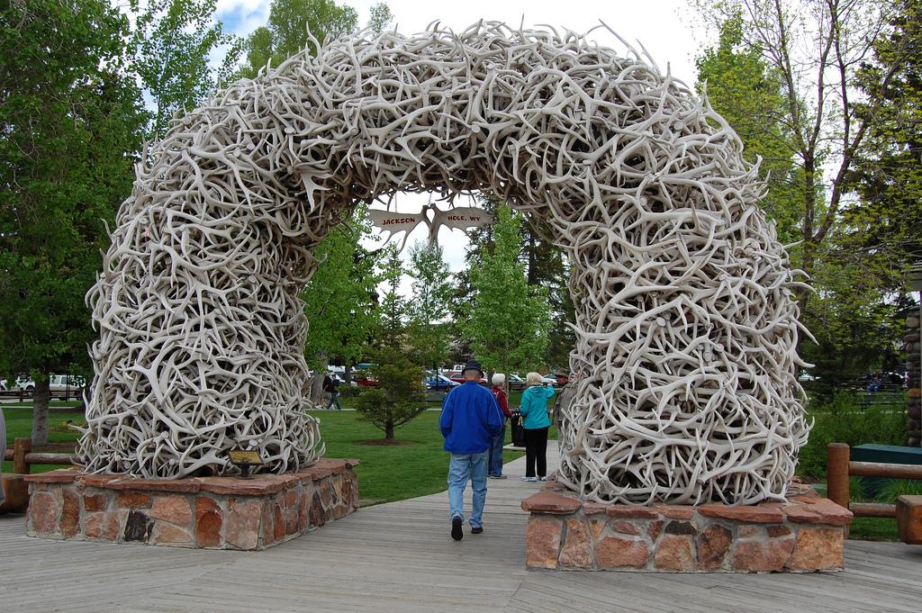 Antler Arch Pics, Man Made Collection