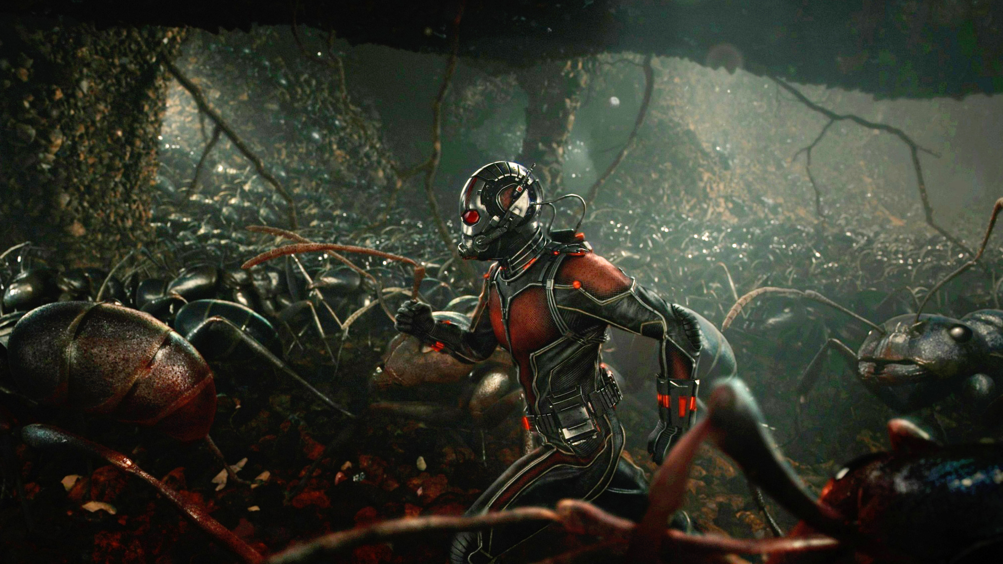 Ant-Man HD wallpapers, Desktop wallpaper - most viewed