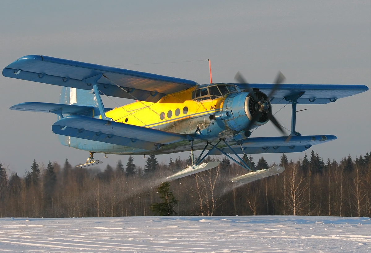 Images of Antonov AN-2 | 1199x817