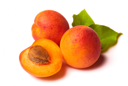 Apricot #13
