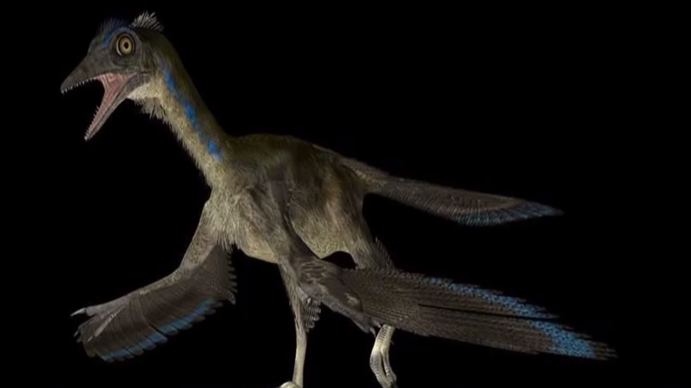 Archaeopteryx #5