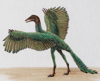 Archaeopteryx #18