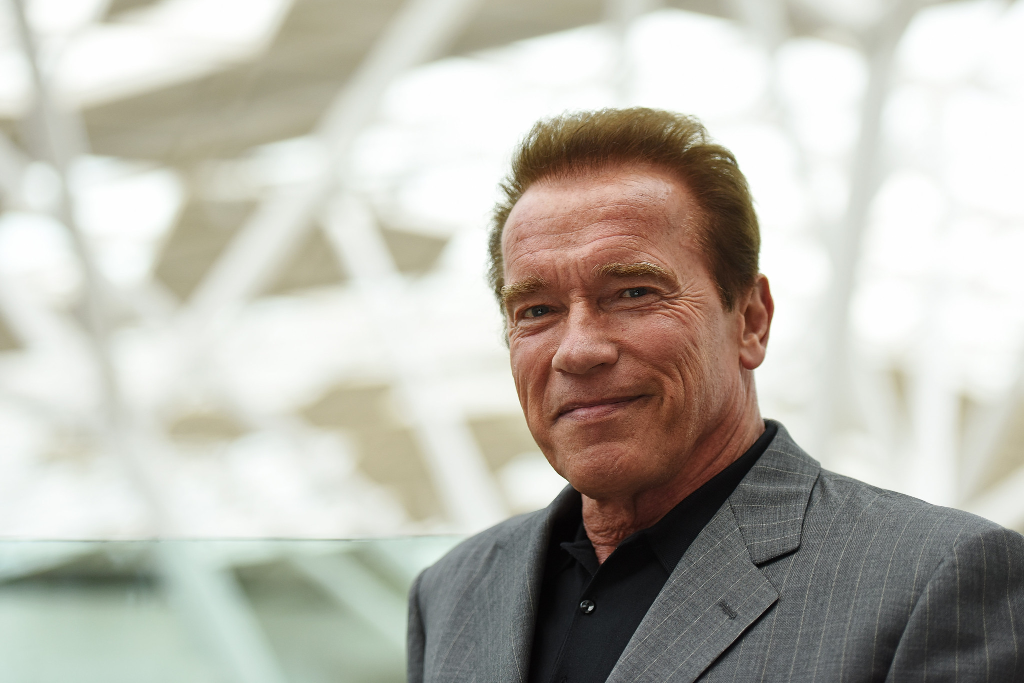 2048x1367 > Arnold Schwarzenegger Wallpapers