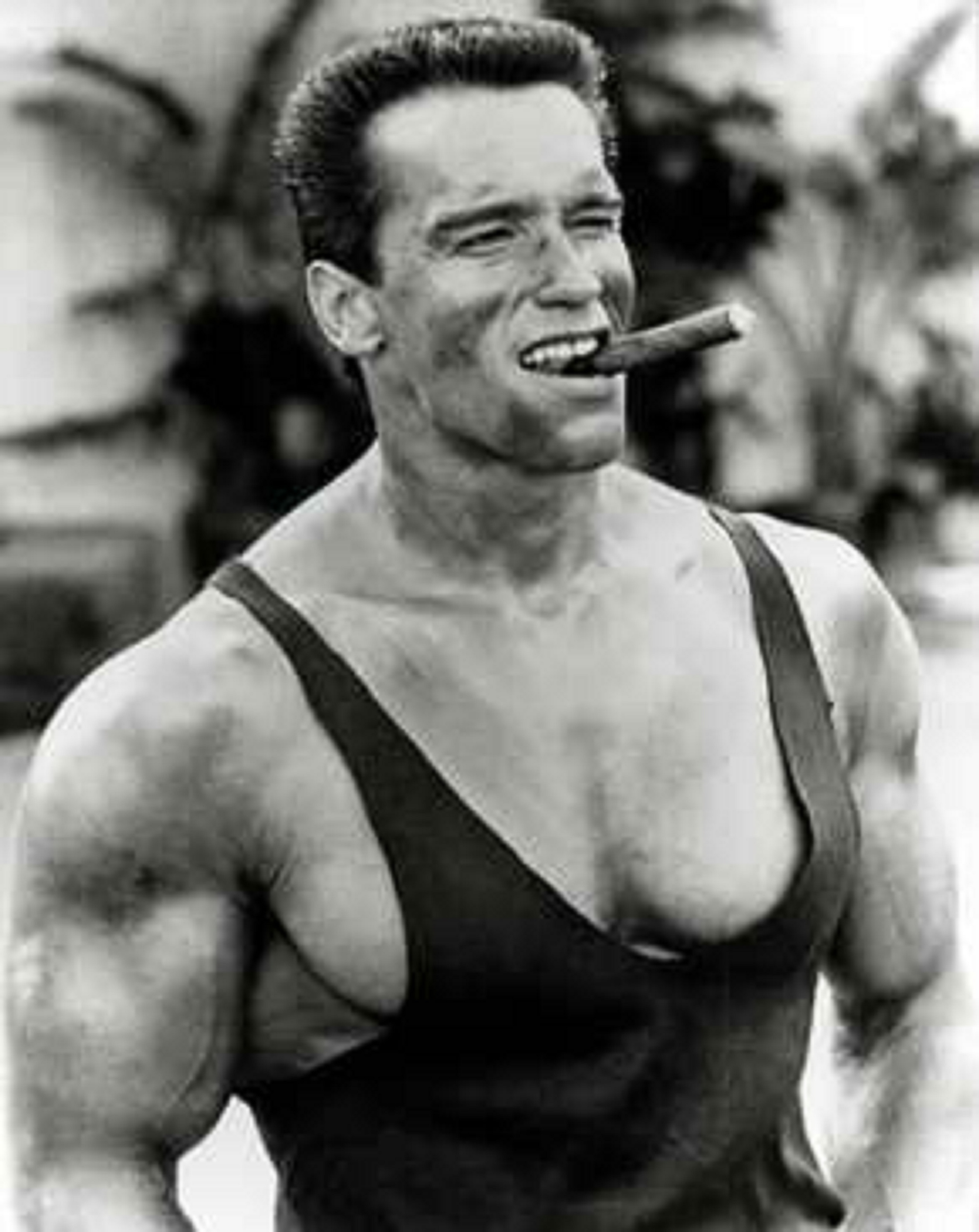 Arnold Schwarzenegger High Quality Background on Wallpapers Vista
