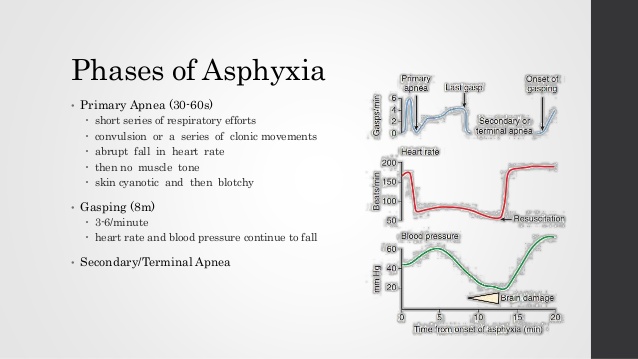 Asphyxia #13