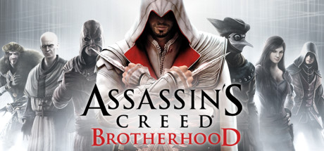 Assassin's Creed: Brotherhood #12
