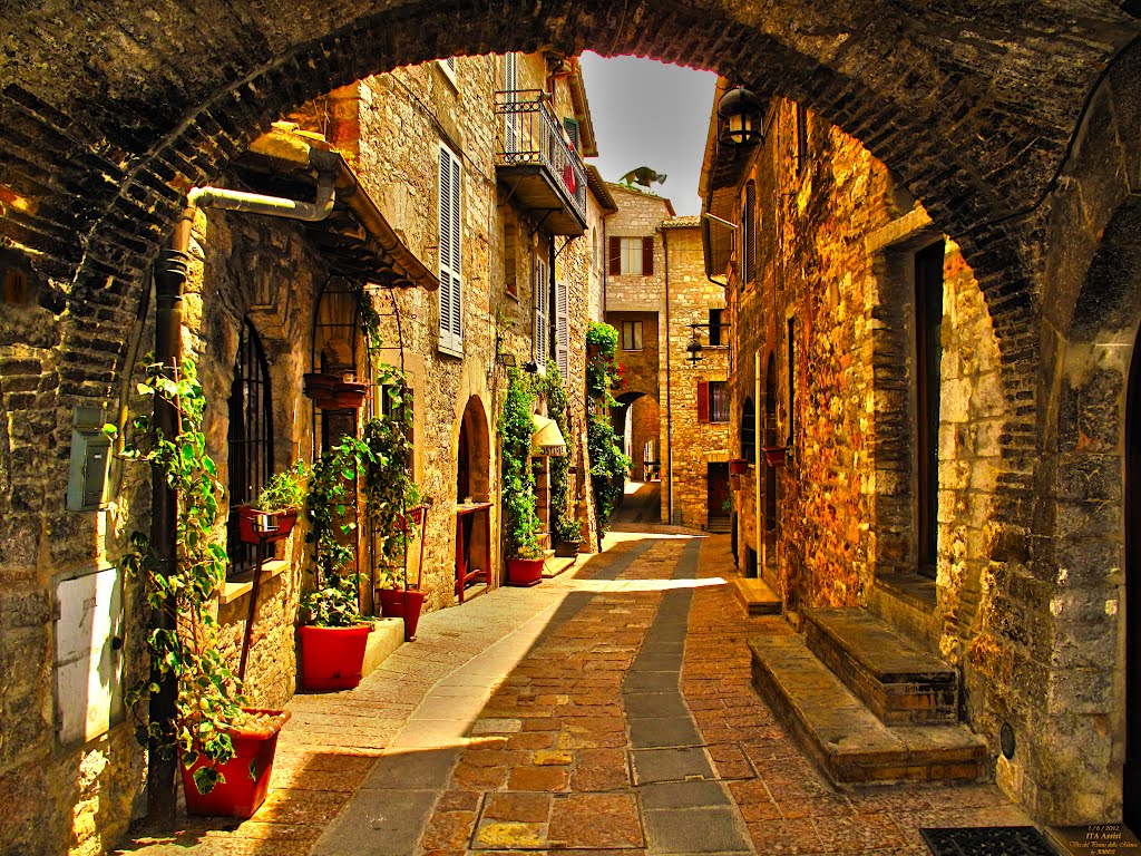 1024x768 > Assisi Wallpapers