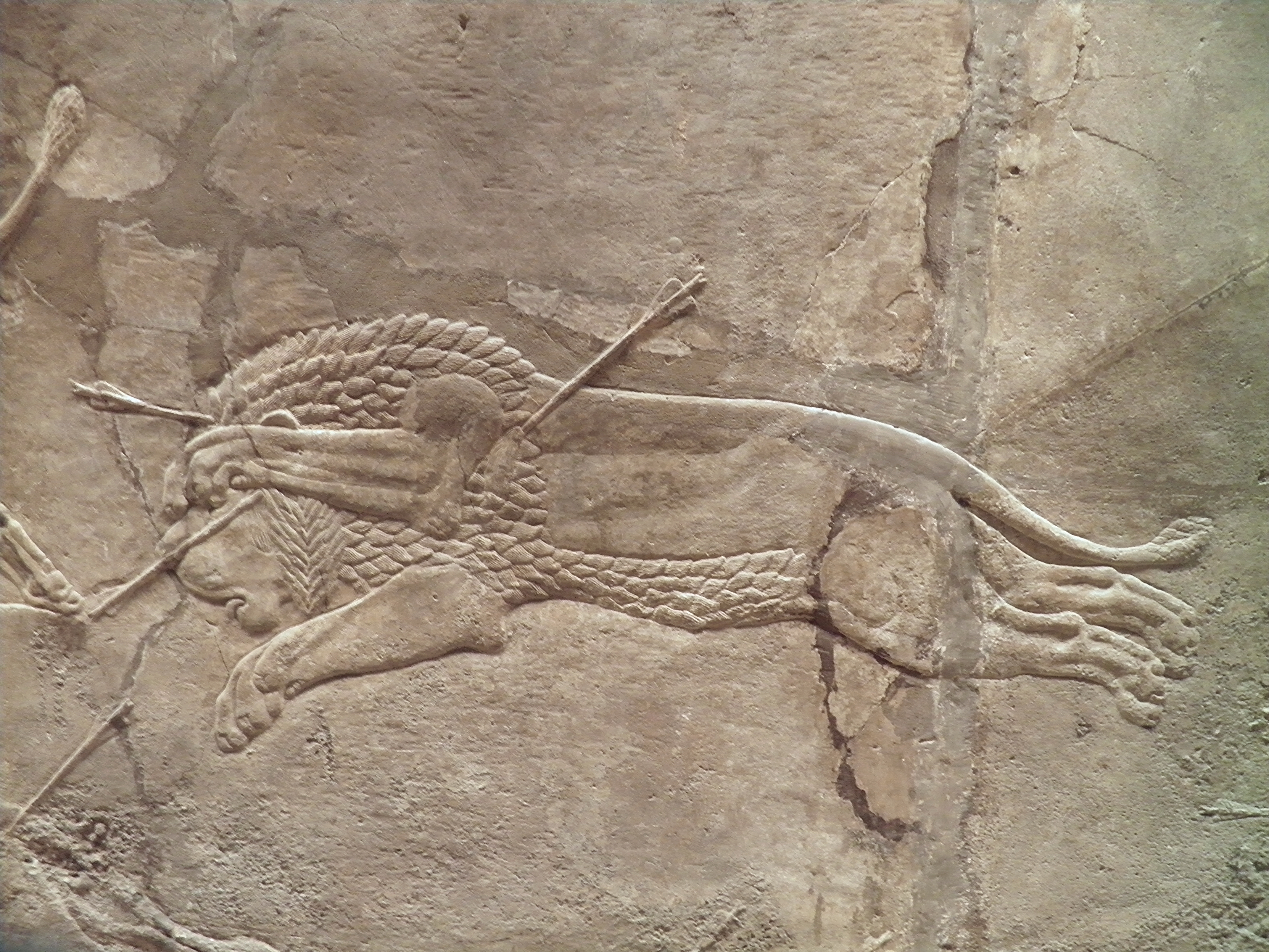 Nice Images Collection: Assyria: Lion Hunts Desktop Wallpapers