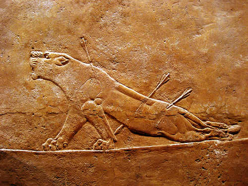 Assyria: Lion Hunts High Quality Background on Wallpapers Vista