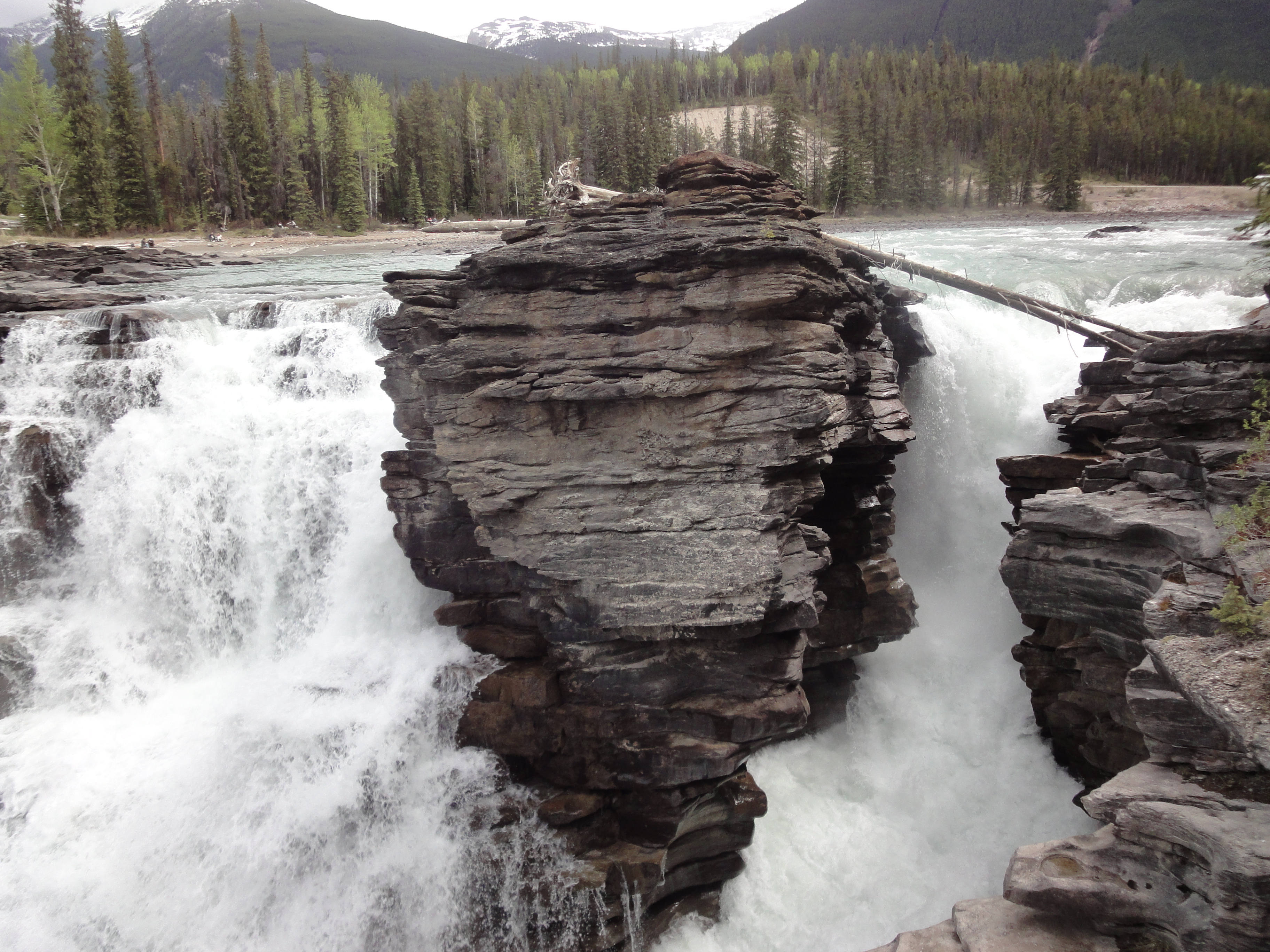 Athabasca Falls #7