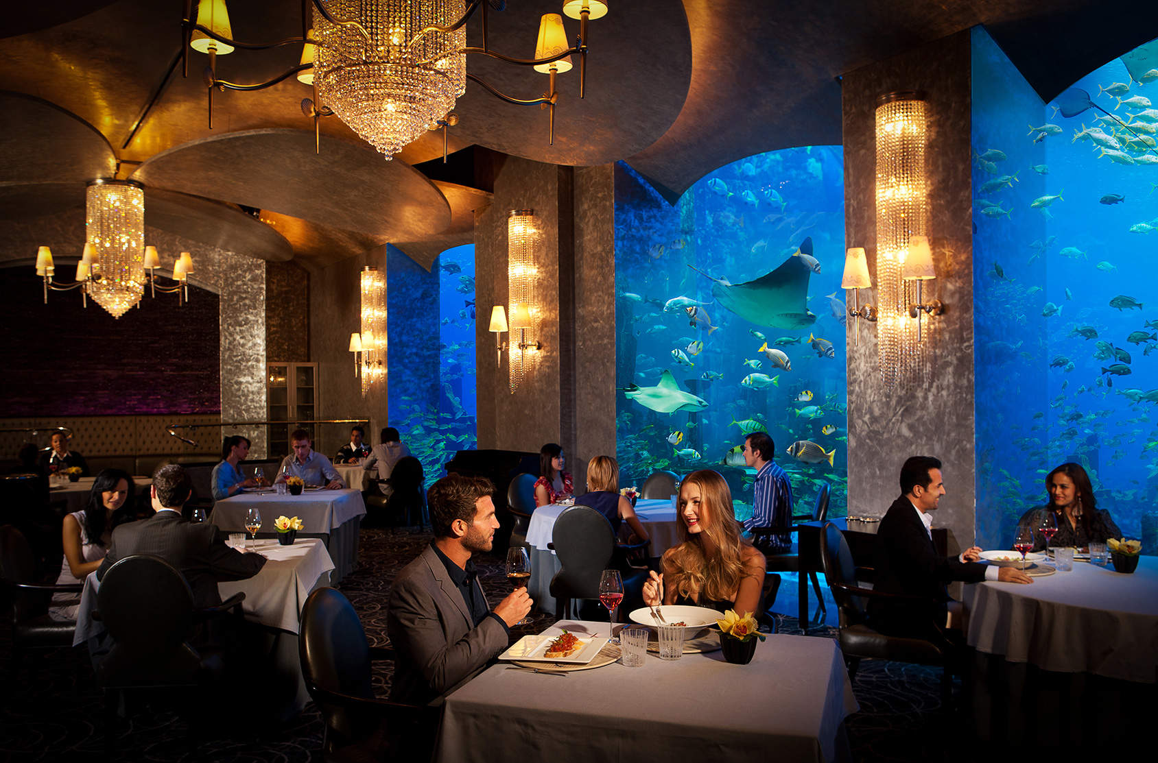 Amazing Atlantis, The Palm Pictures & Backgrounds