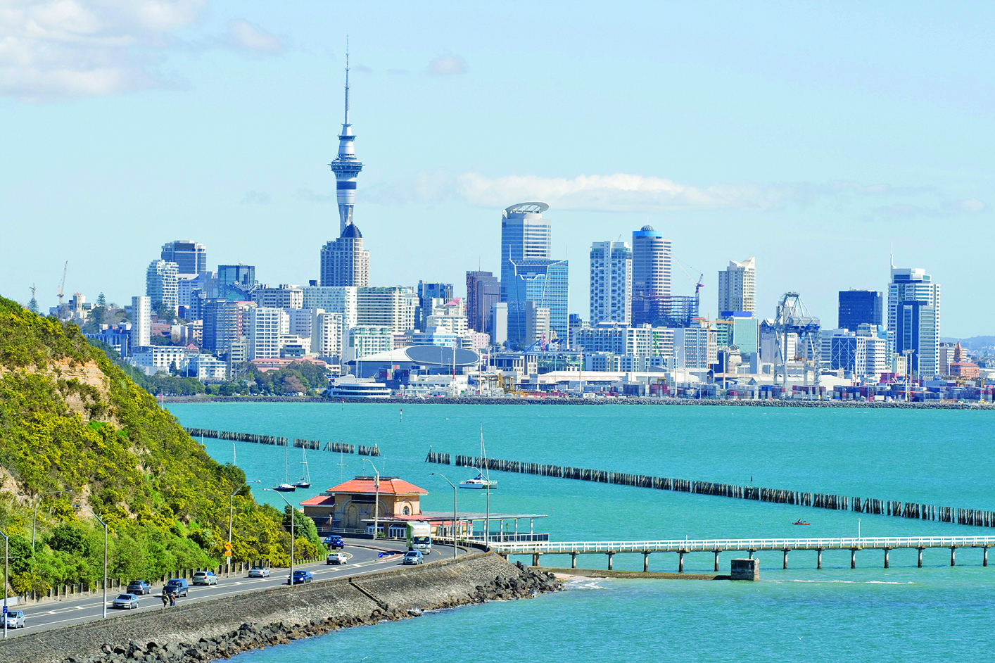 Auckland #18