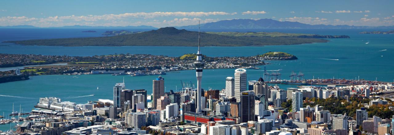 Auckland #11