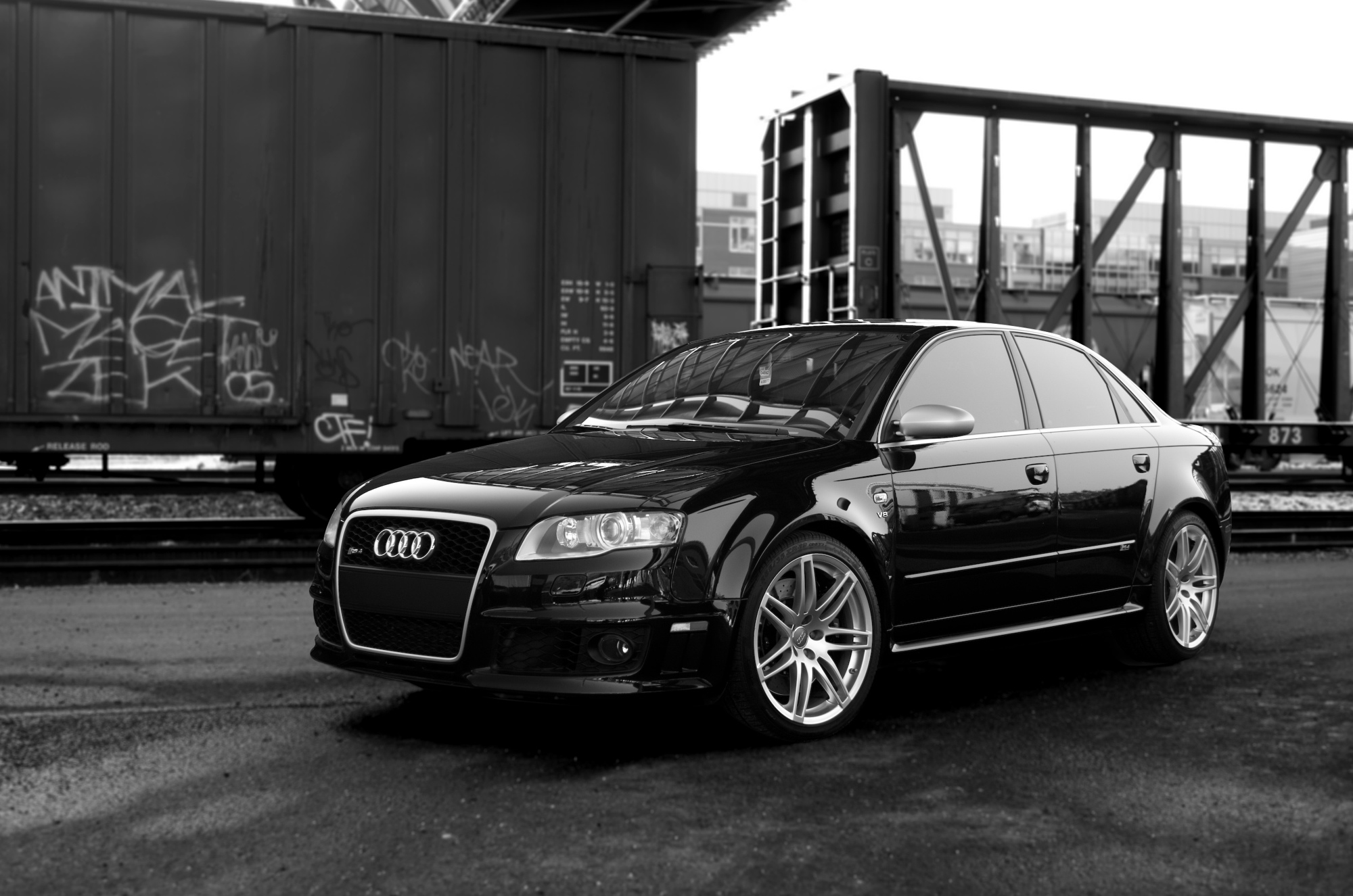 Audi RS4 #8