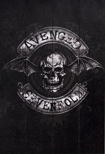 HD Quality Wallpaper | Collection: Music, 342x500 Avenged Sevenfold
